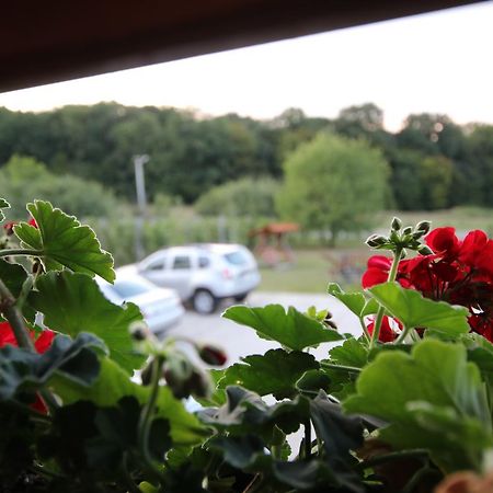 Panorama Cehu Silvaniei Buitenkant foto