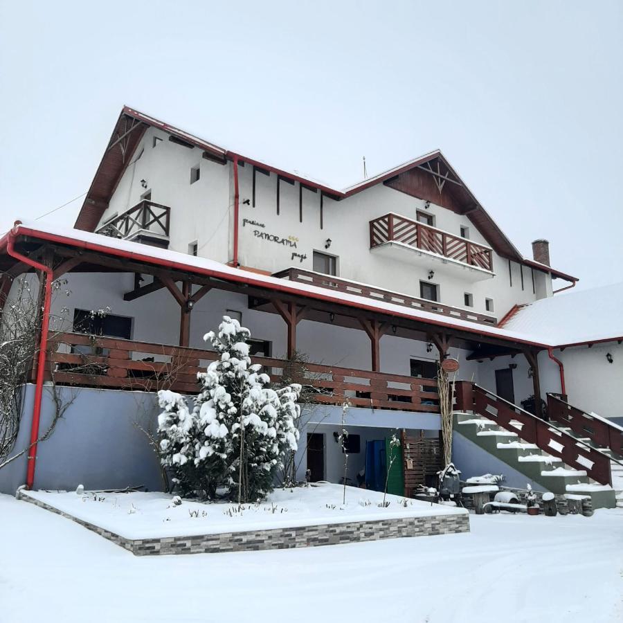 Panorama Cehu Silvaniei Buitenkant foto