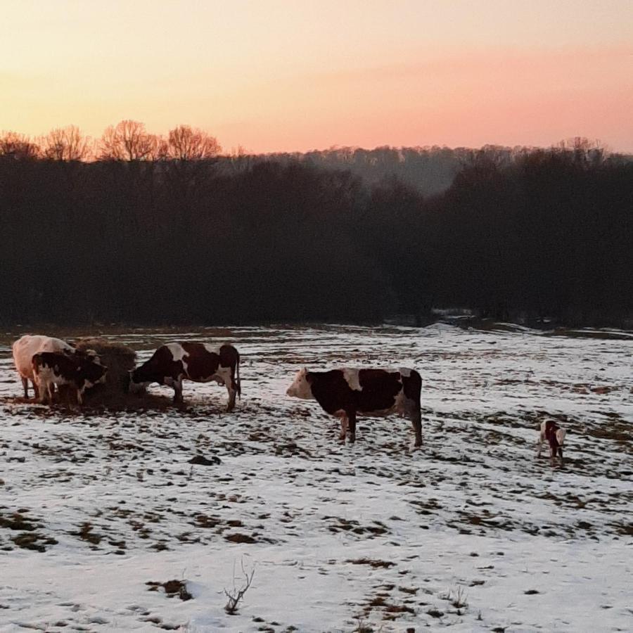 Panorama Cehu Silvaniei Buitenkant foto