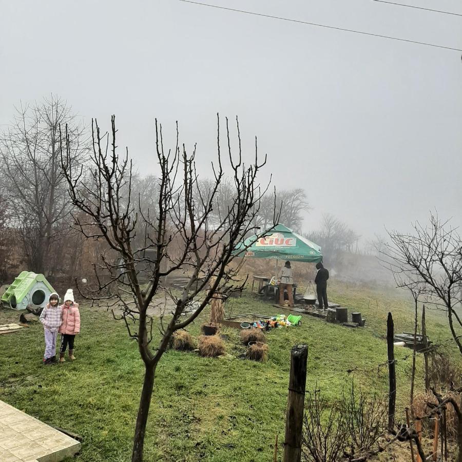 Panorama Cehu Silvaniei Buitenkant foto