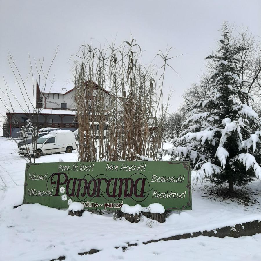 Panorama Cehu Silvaniei Buitenkant foto
