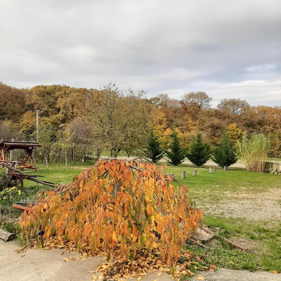 Panorama Cehu Silvaniei Buitenkant foto