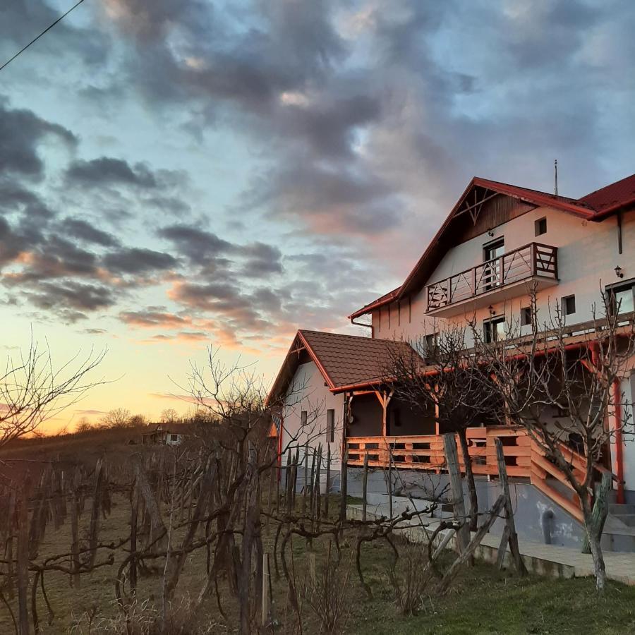 Panorama Cehu Silvaniei Buitenkant foto