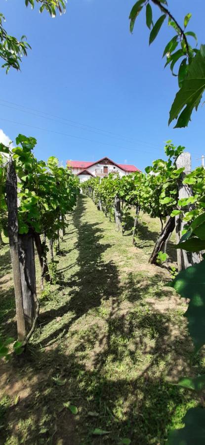 Panorama Cehu Silvaniei Buitenkant foto