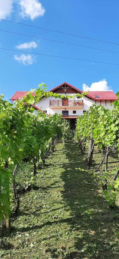 Panorama Cehu Silvaniei Buitenkant foto