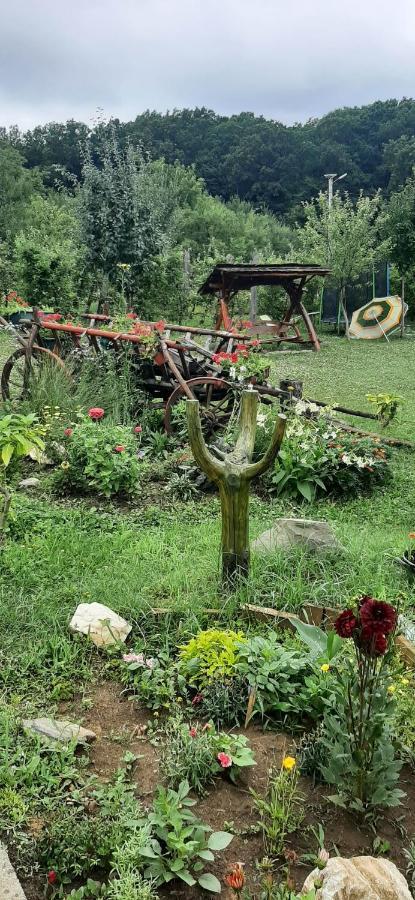 Panorama Cehu Silvaniei Buitenkant foto