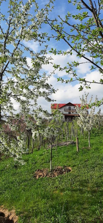 Panorama Cehu Silvaniei Buitenkant foto