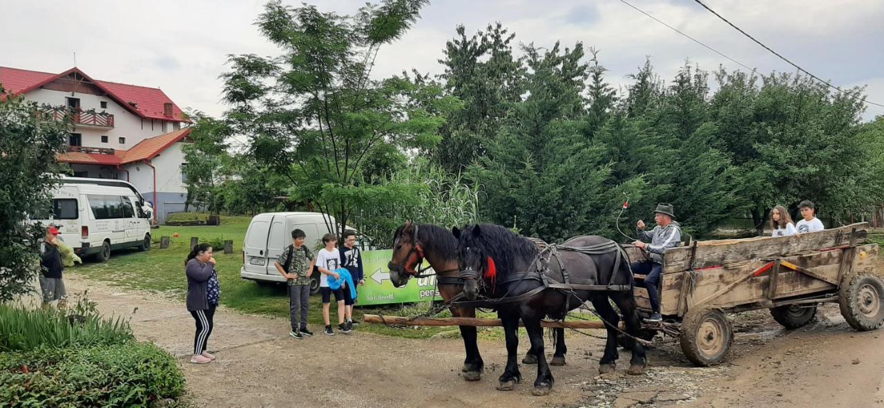 Panorama Cehu Silvaniei Buitenkant foto