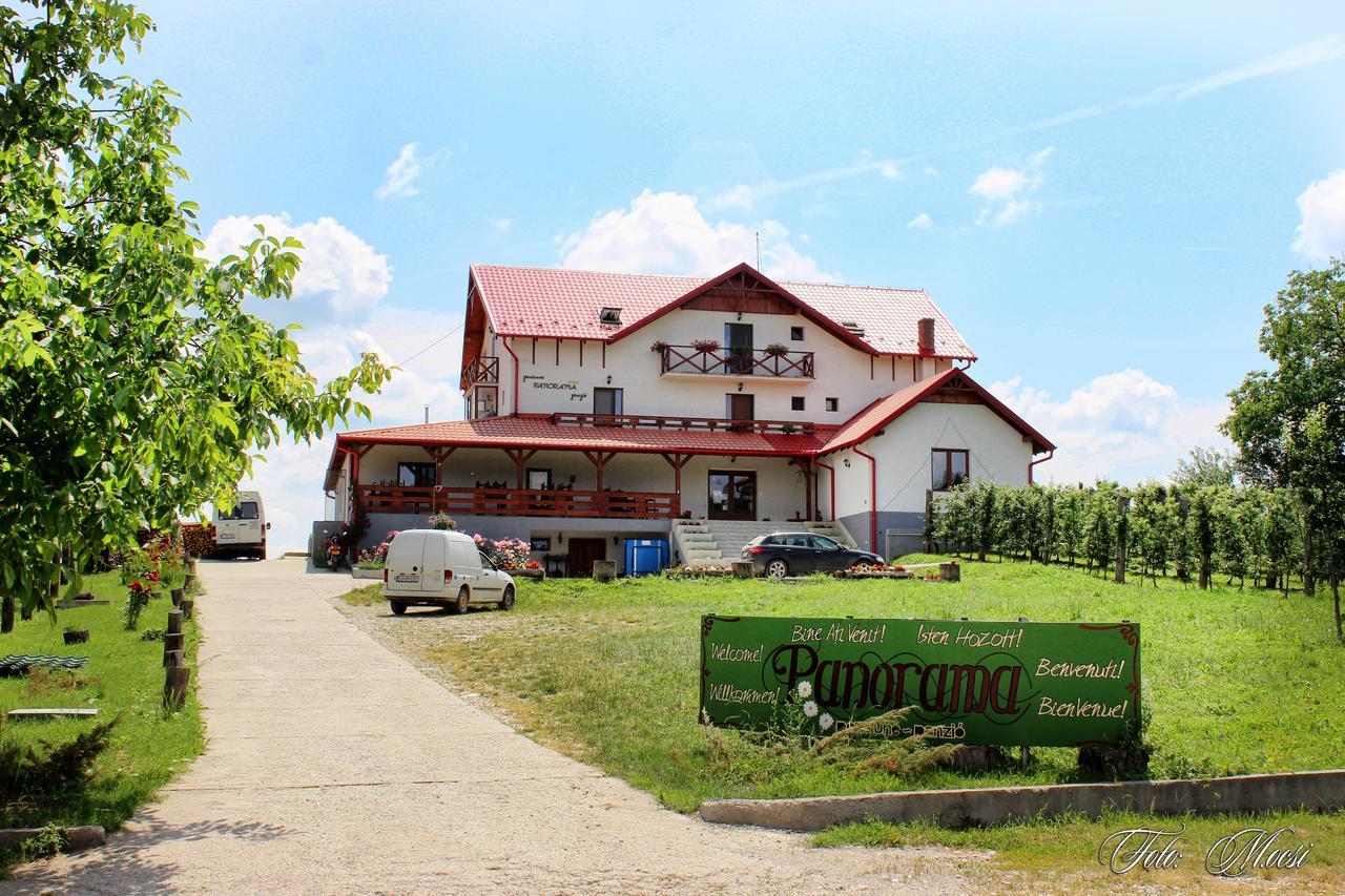 Panorama Cehu Silvaniei Buitenkant foto