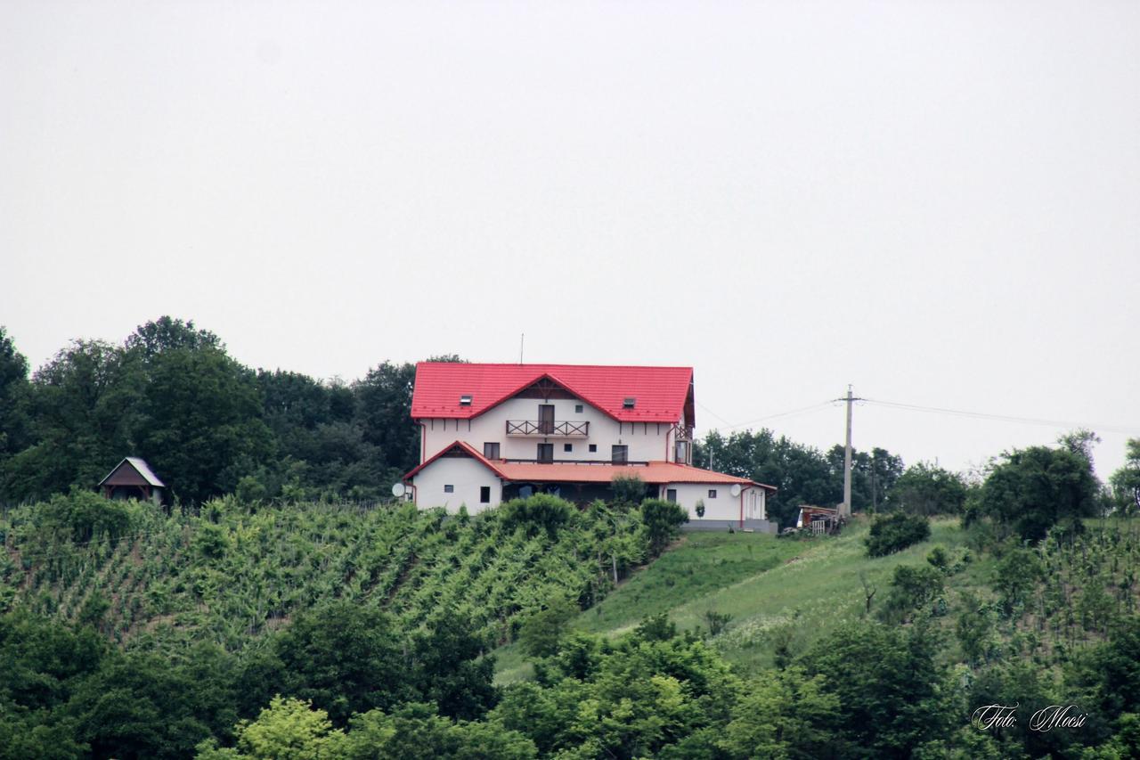 Panorama Cehu Silvaniei Buitenkant foto