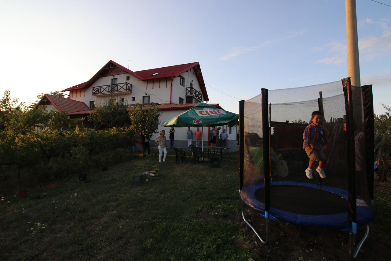 Panorama Cehu Silvaniei Buitenkant foto