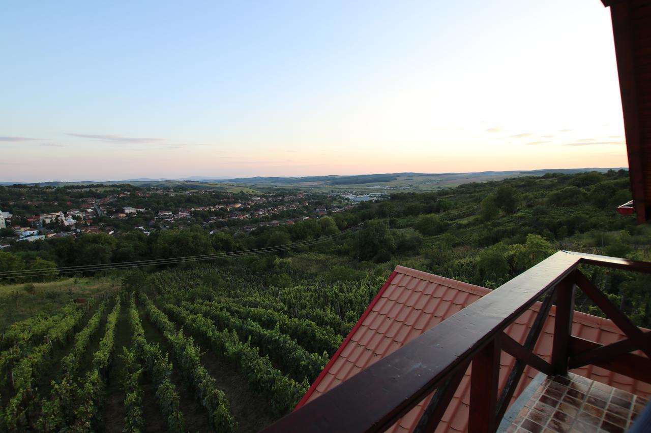 Panorama Cehu Silvaniei Buitenkant foto