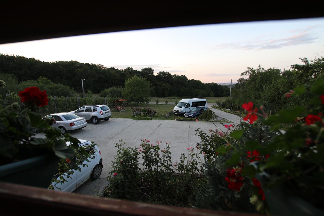 Panorama Cehu Silvaniei Buitenkant foto