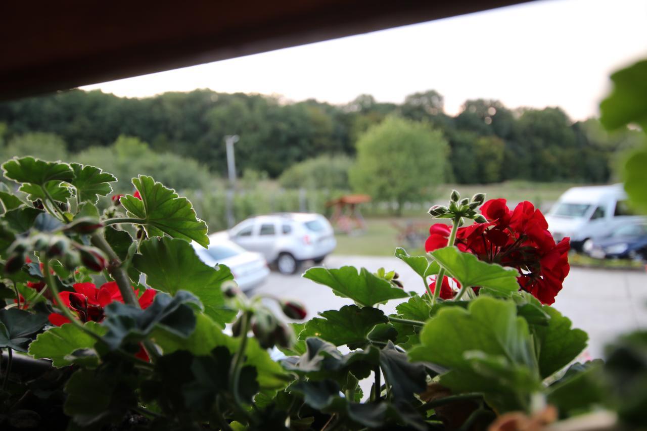 Panorama Cehu Silvaniei Buitenkant foto